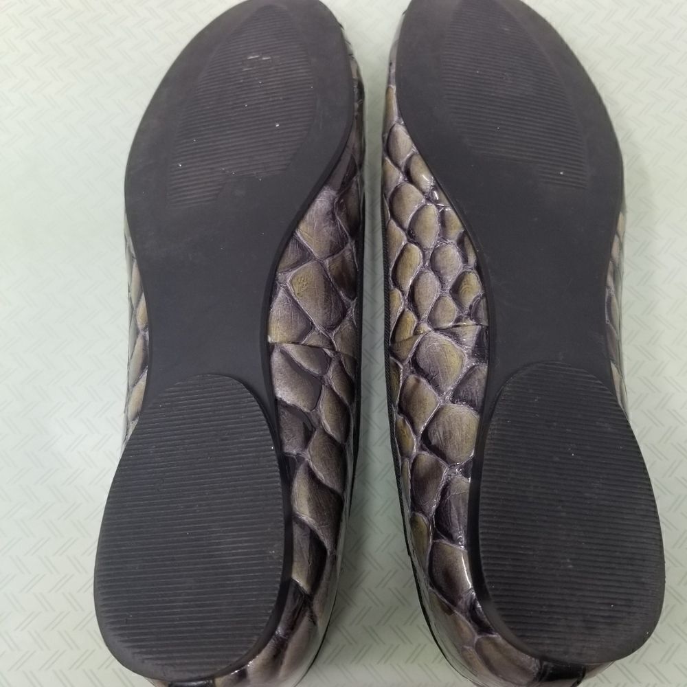 Linea Paolo Flats.   - Picture 2 of 14
